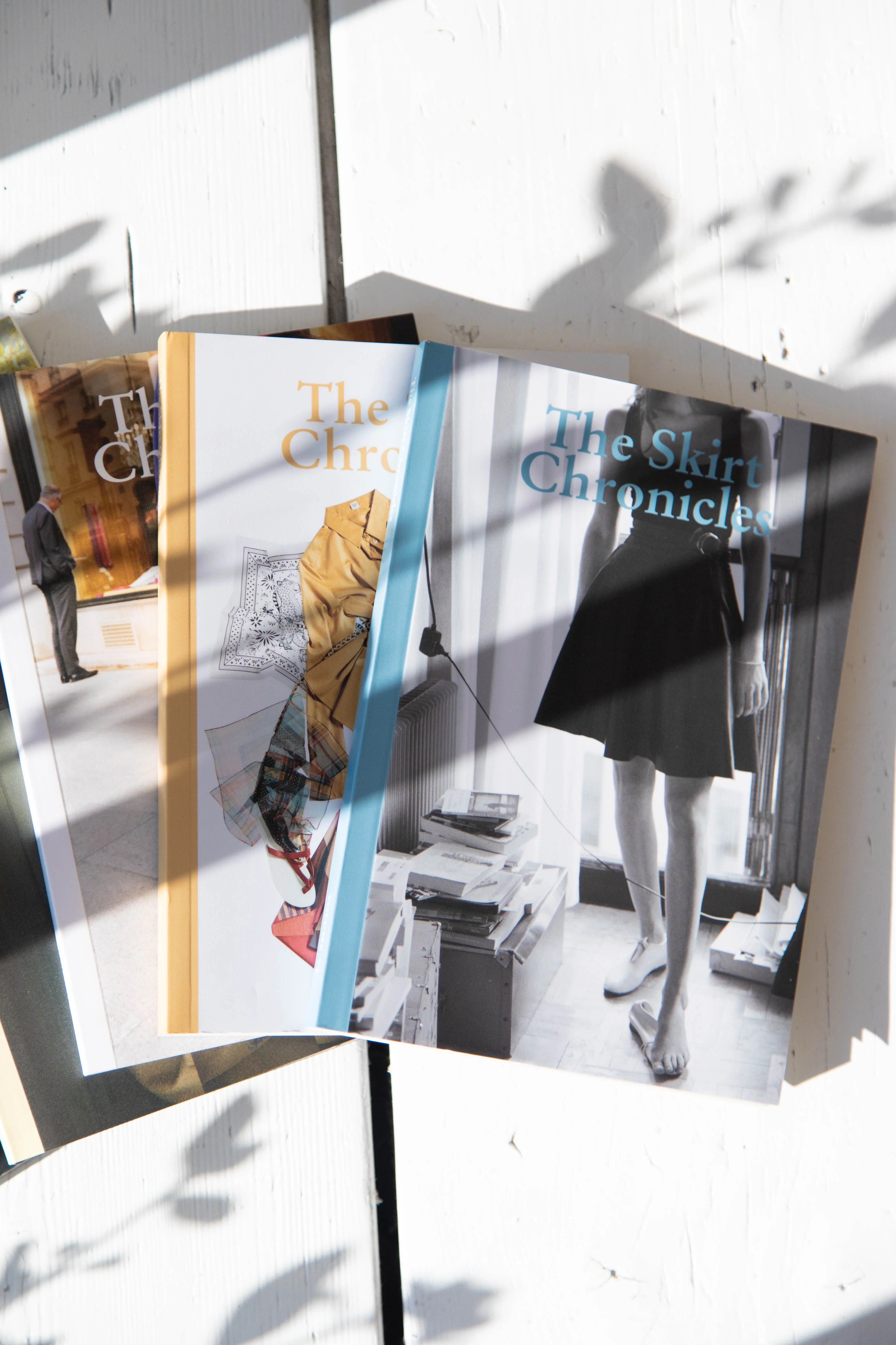 The Skirt Chronicles Volume VII - Image 10