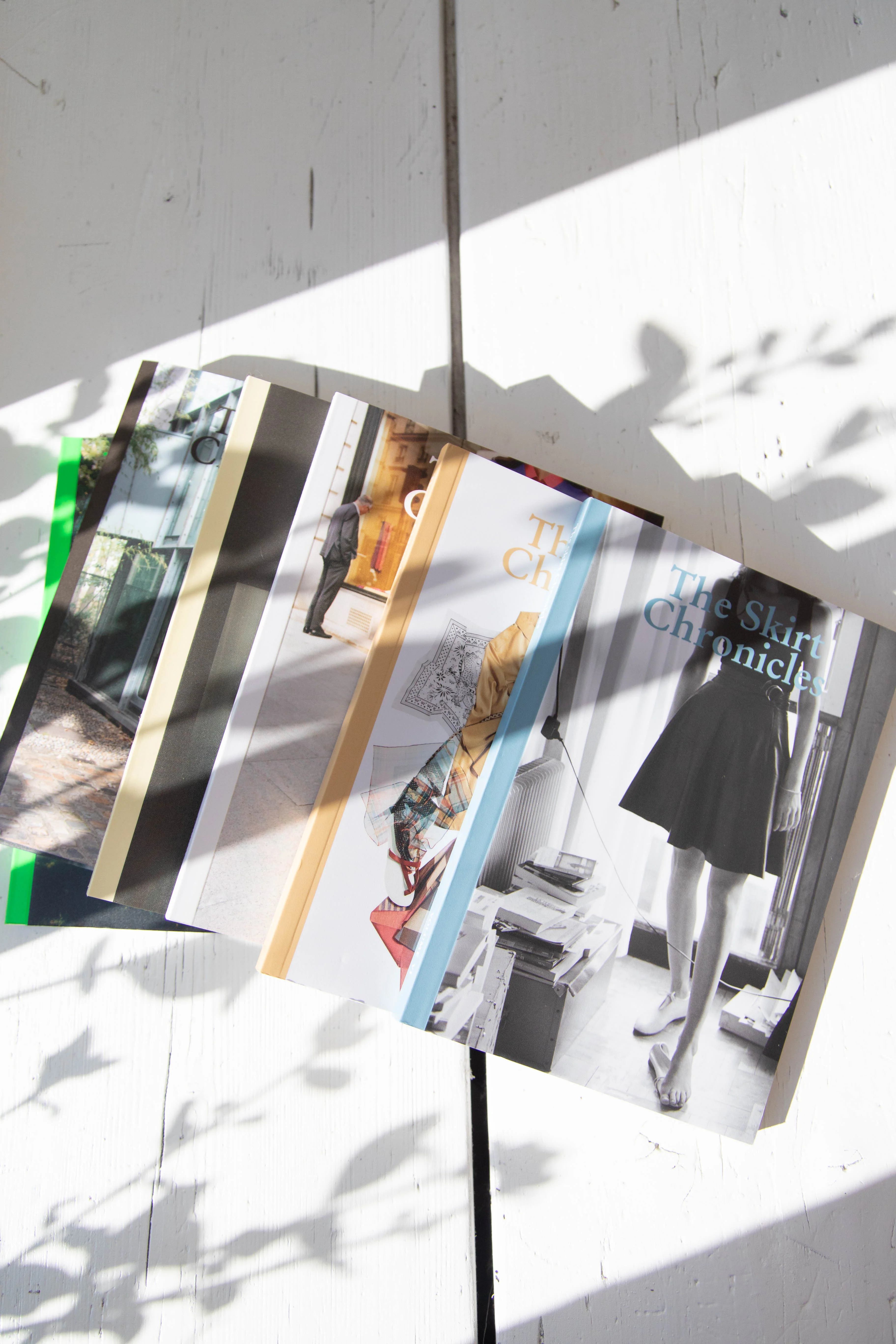 The Skirt Chronicles Volume VII - Image 9