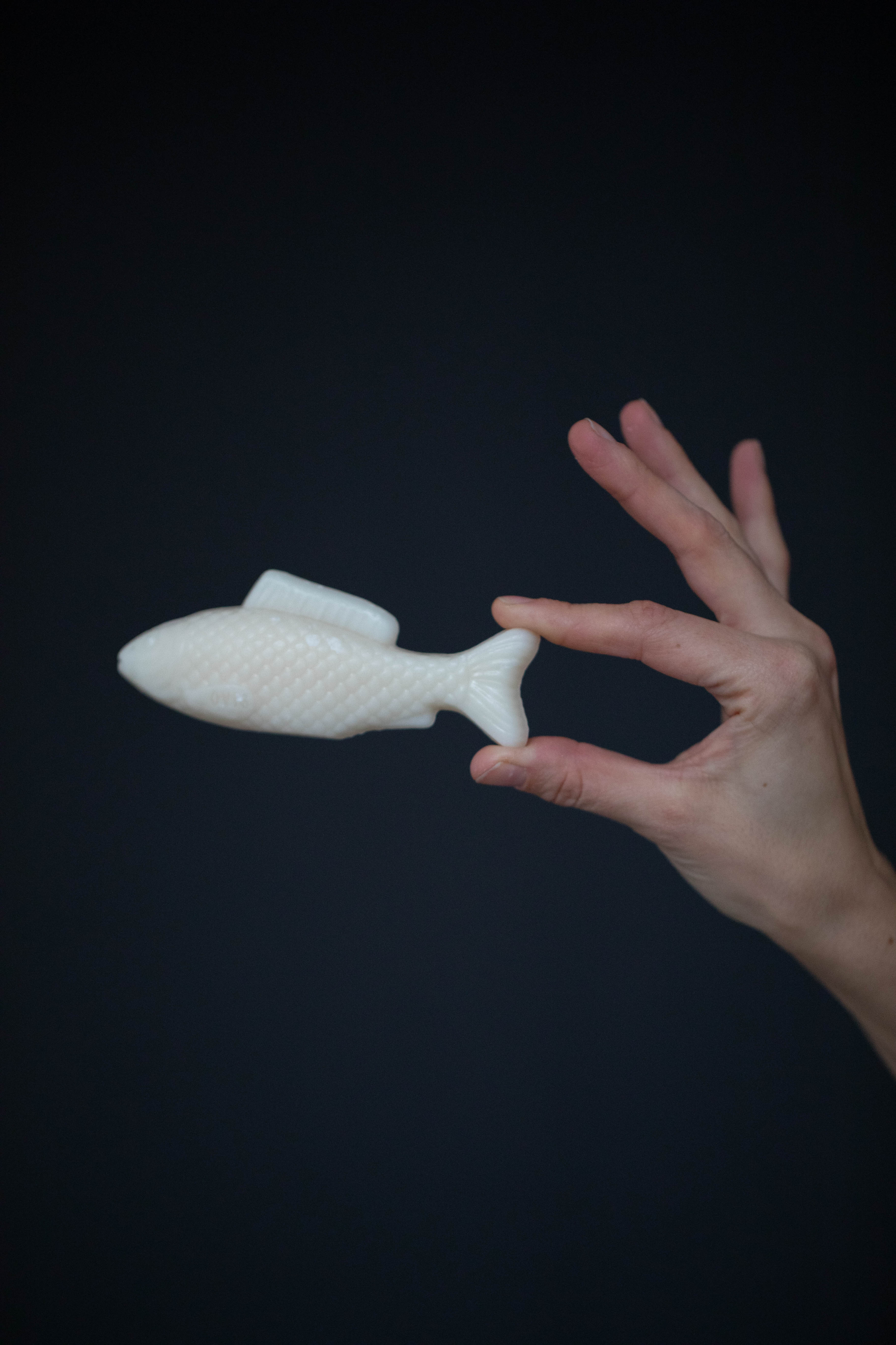 Fish Soap in Meadow - Image 2