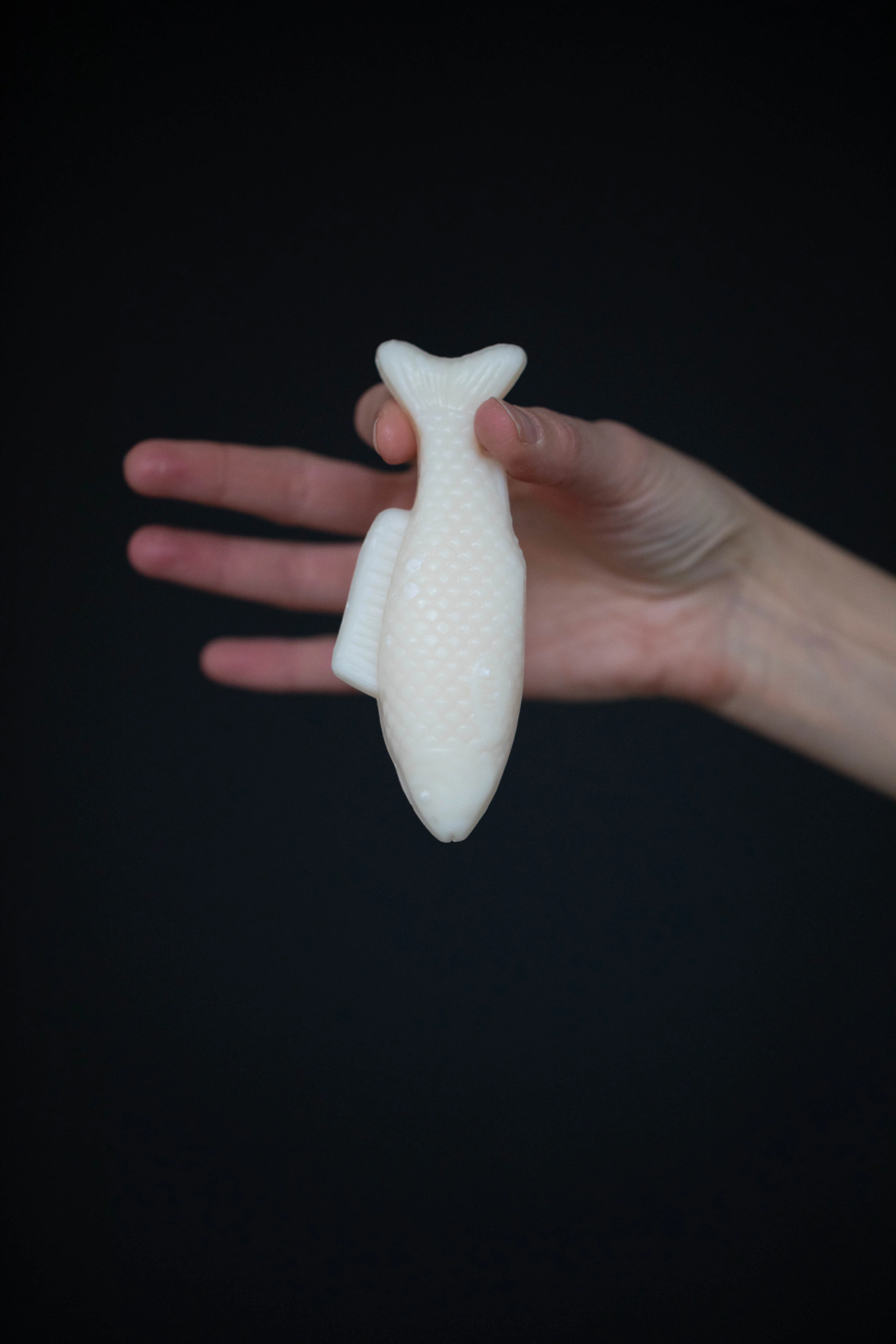 Fish Soap in Meadow - Image 7