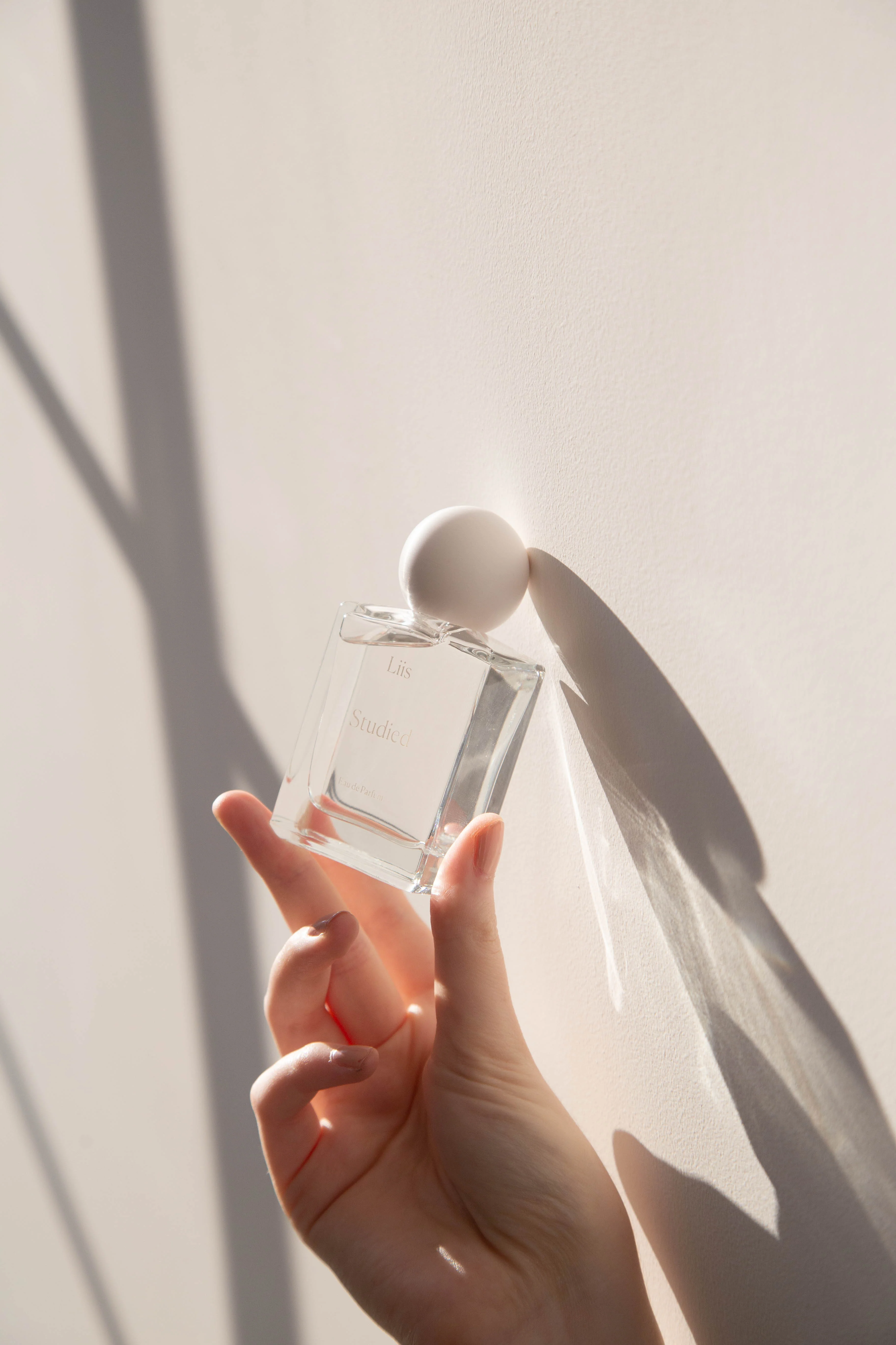 Liis Fragrances | Studied - Image 14