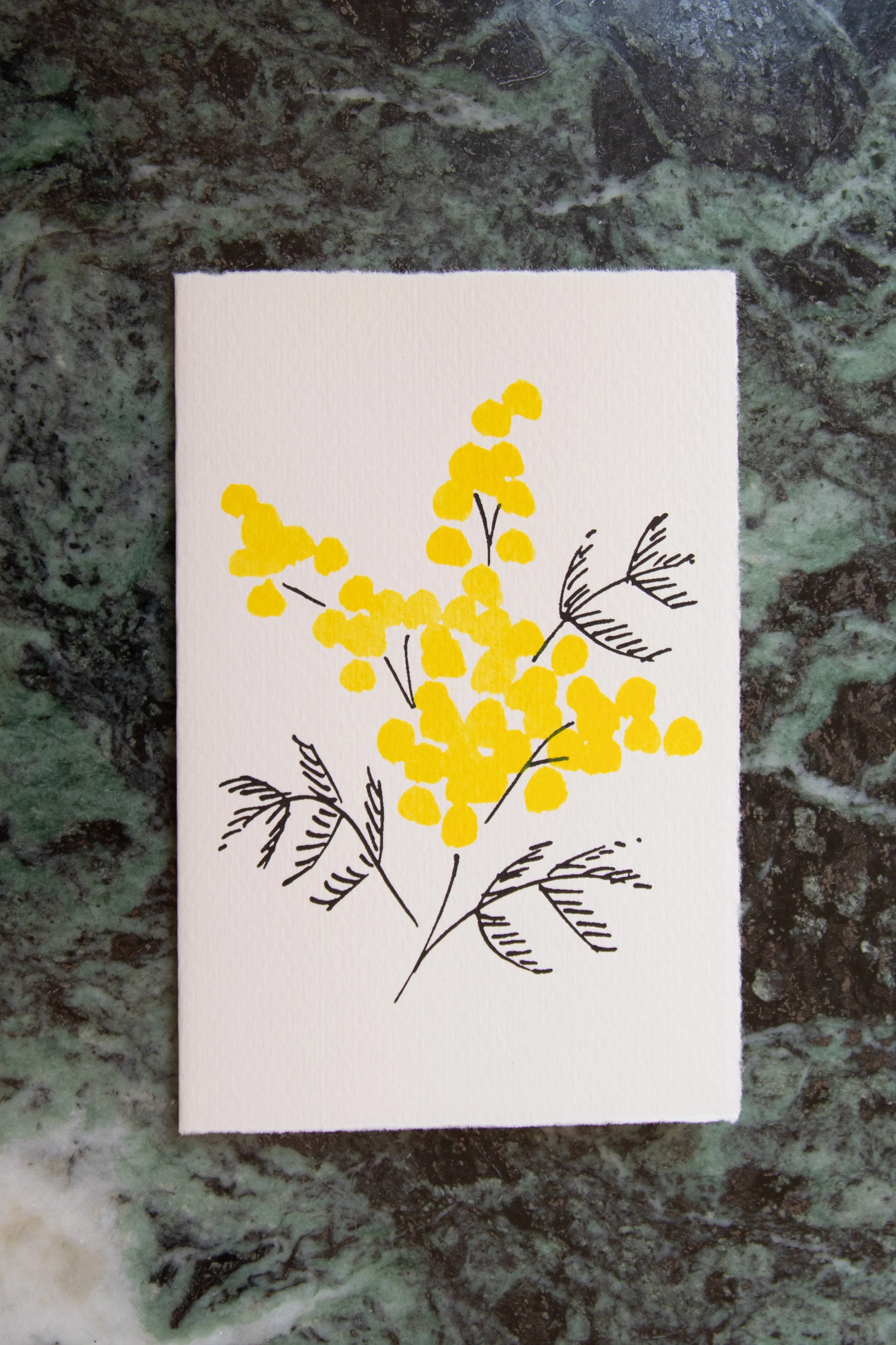 Scribble & Daub | Floral Card in Mimosa