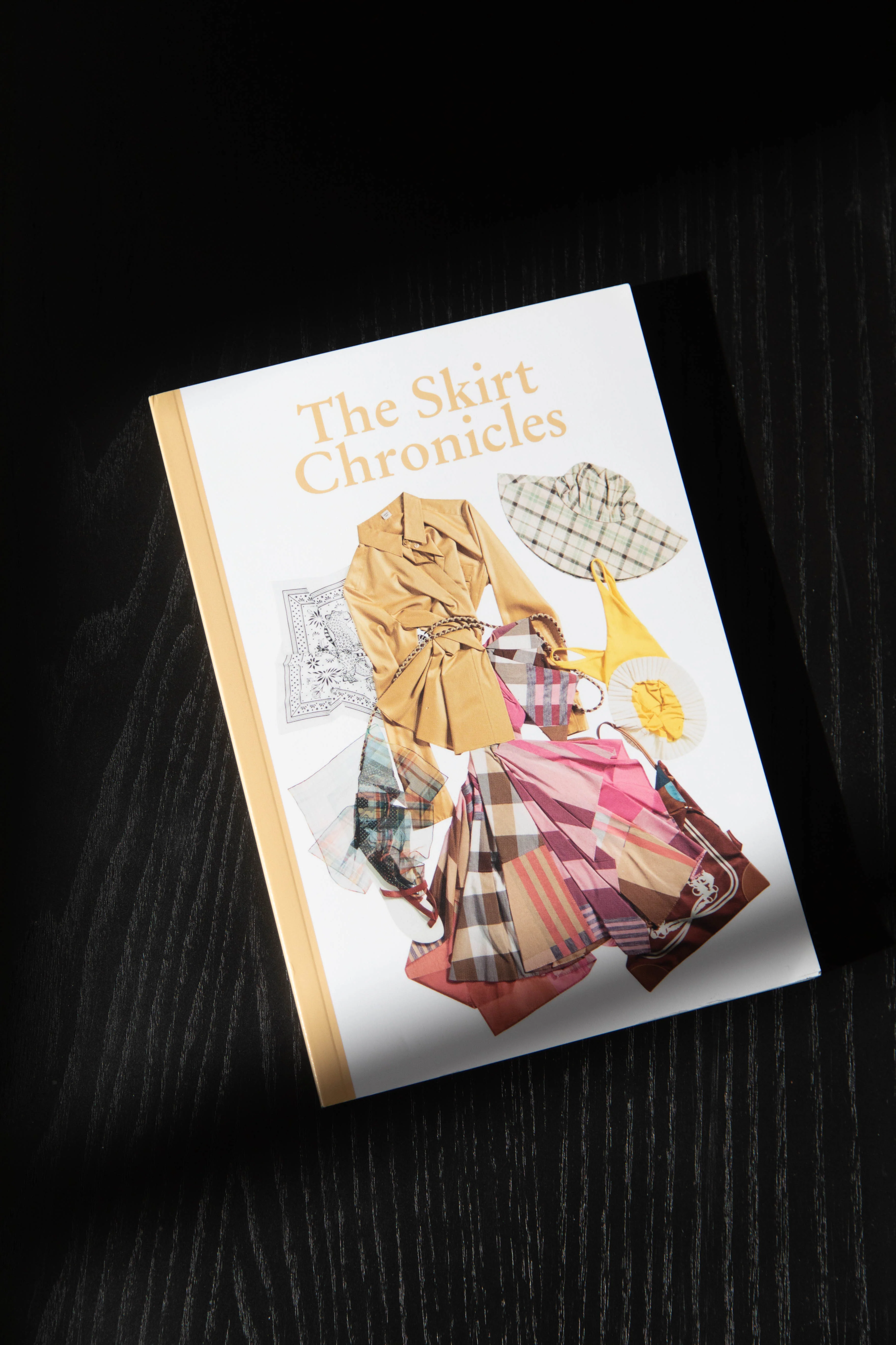 The Skirt Chronicles Volume IV - Image 2